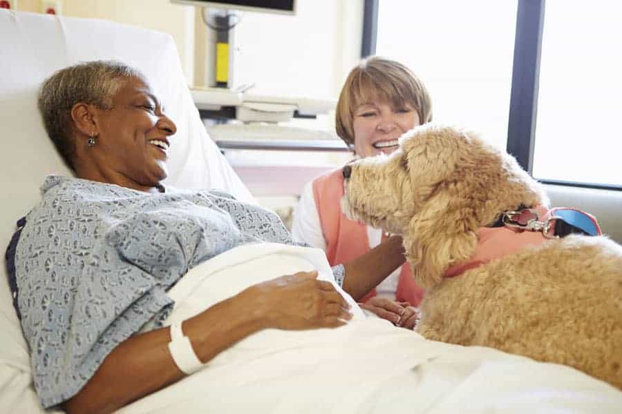 Pet visiting Hospice Patient at The Connecticut Hospice