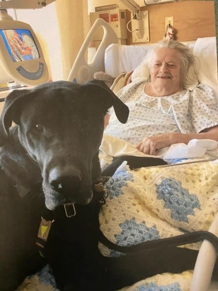 Patient in bed at smiles at therapy dog