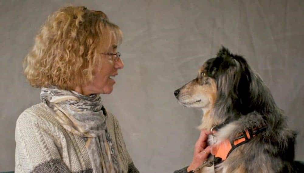 Profile picture of Pet therapy volunteer and therapy dog facing each other