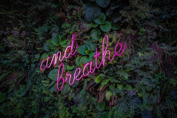 Pink neon lettering spells out "and breathe", against green forest floor