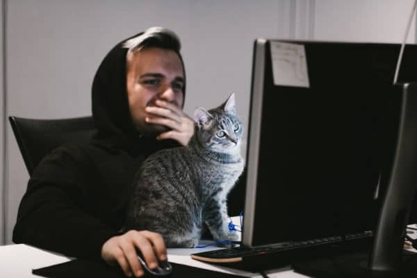 Man and cat look at the internet together