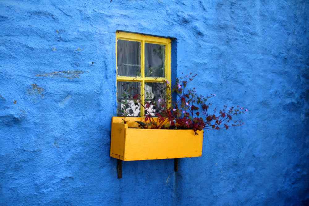 Bright yellow windowbox on deep
blue wall

