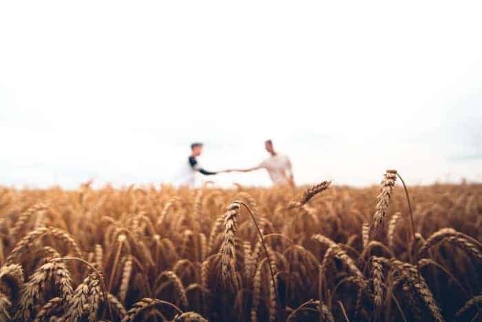 Two men standing in a cornfield reaching out to shake hands