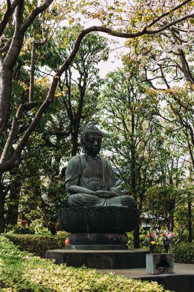 large Buddha statue in grove of trees