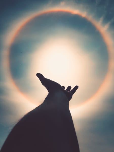 silhouette of hand reaching up to sky with bring rings around sun