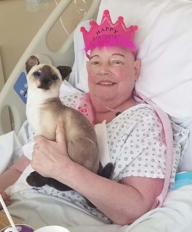 Smiling hospice patient sitting in bed with tiara on and holding a siamese cat soft toy