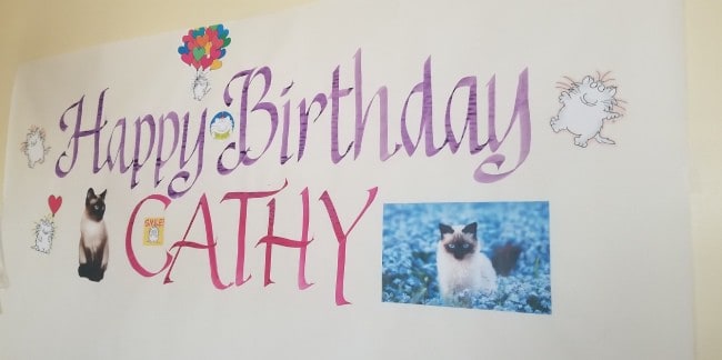 Hand painted birthday banner with calligraphy and cat pictures