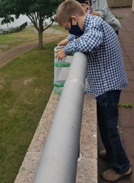 boy in blue check shirt holds a container of butterflies over a balcony