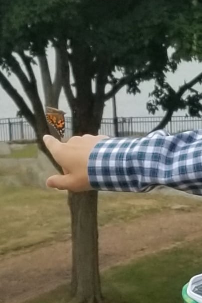 boy releases a butterfly from his finger