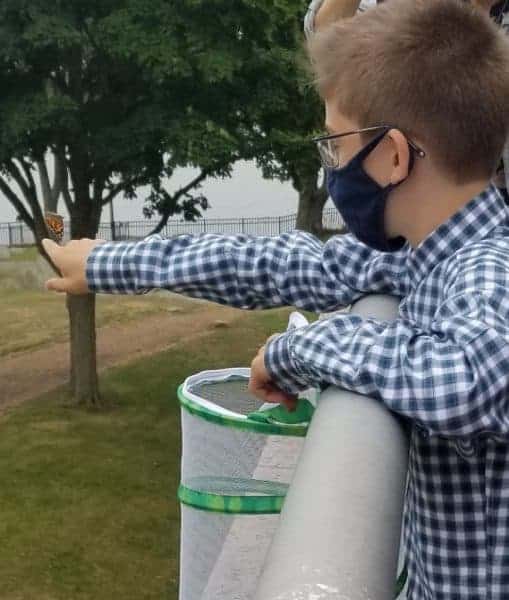 boy with outstretched arm and butterfly on his finger