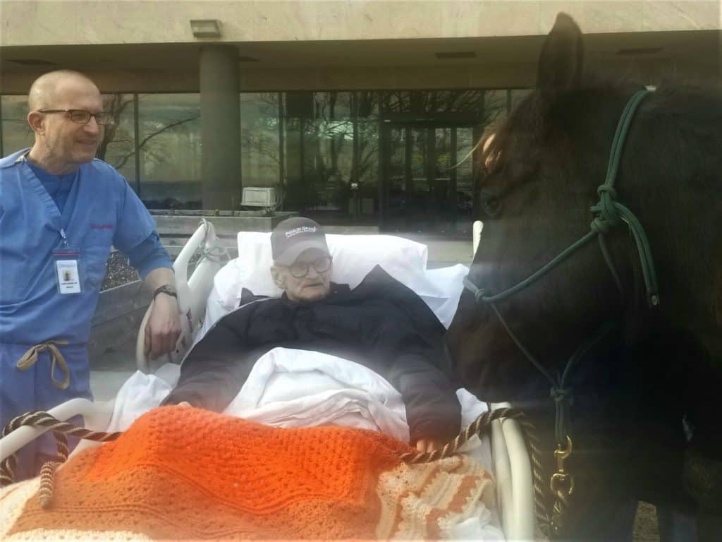 Hospice male patient in hospital bed outside with doctor and black horse standing at beside.  