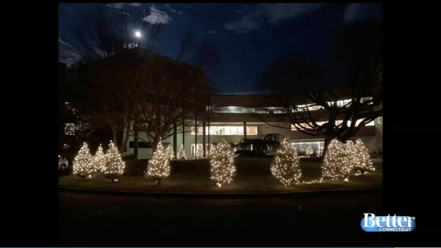 Trees lit up for the Lights of Love Fundraiser