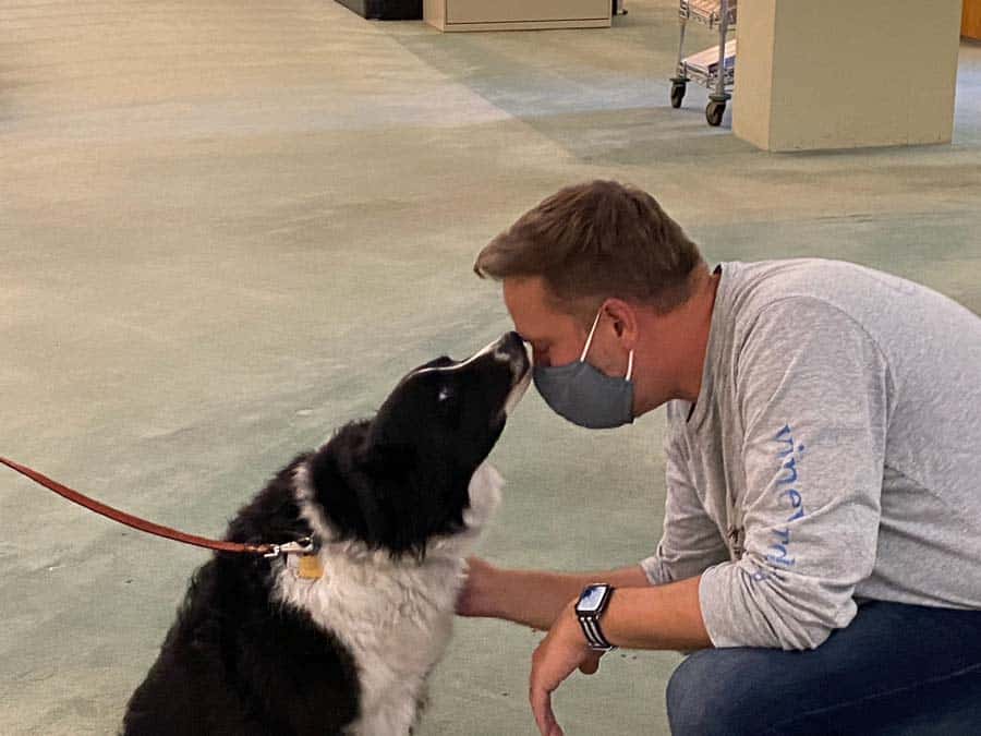 Bea the Border Collie Therapy dog sharing some love with Hospice Family Member