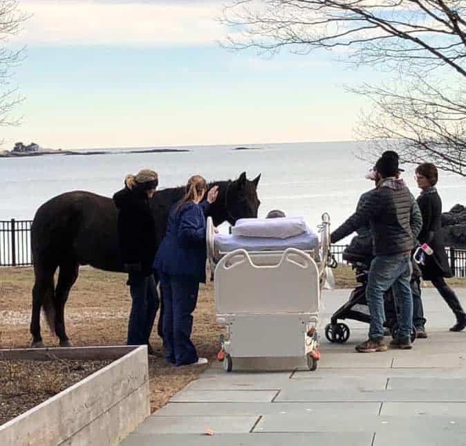 Horse visits patient at Connecticut Hospice