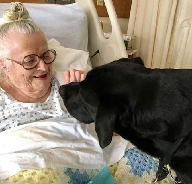 Hospice Patient-saying goodbye to dog